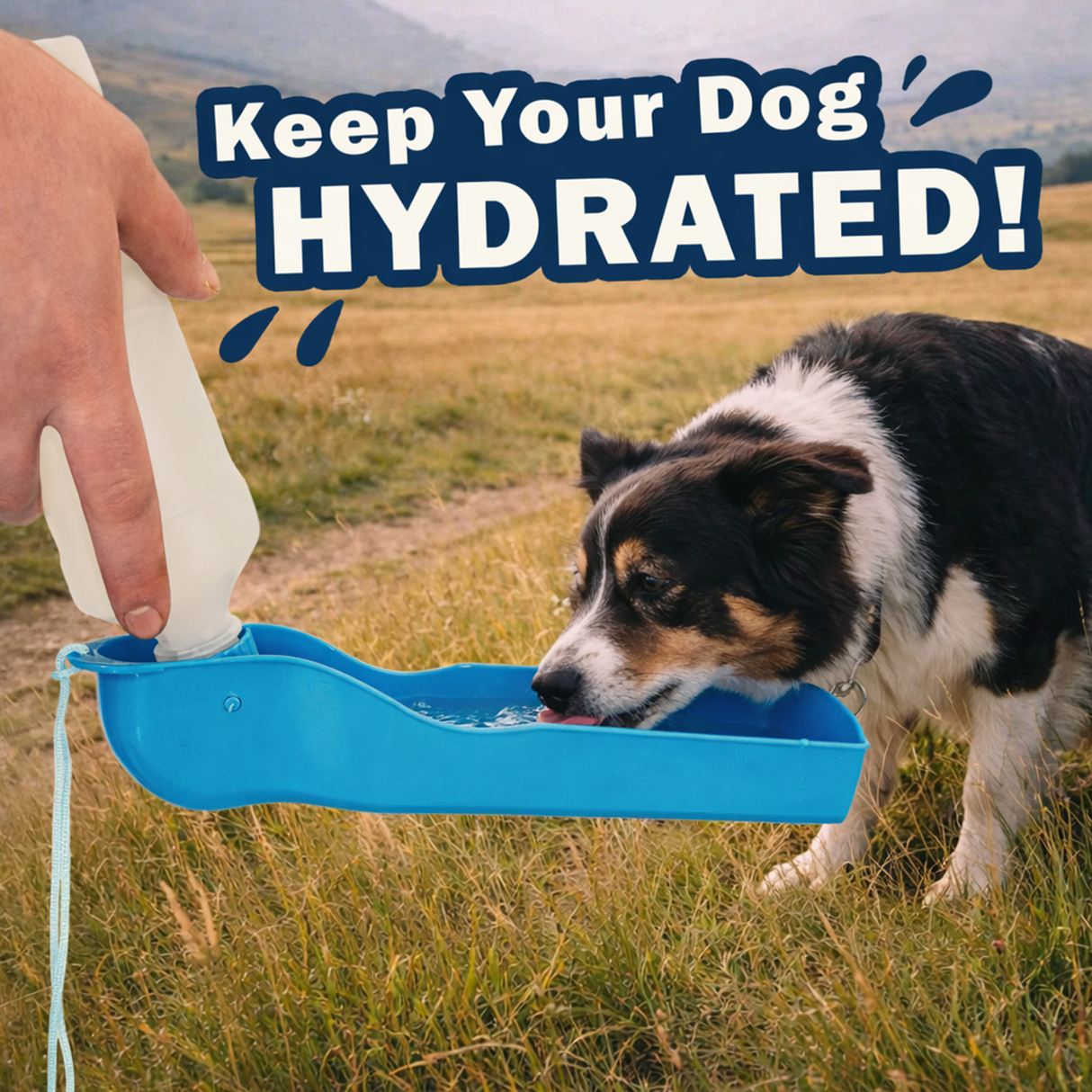 Dog Travel Water Bottle 500ml