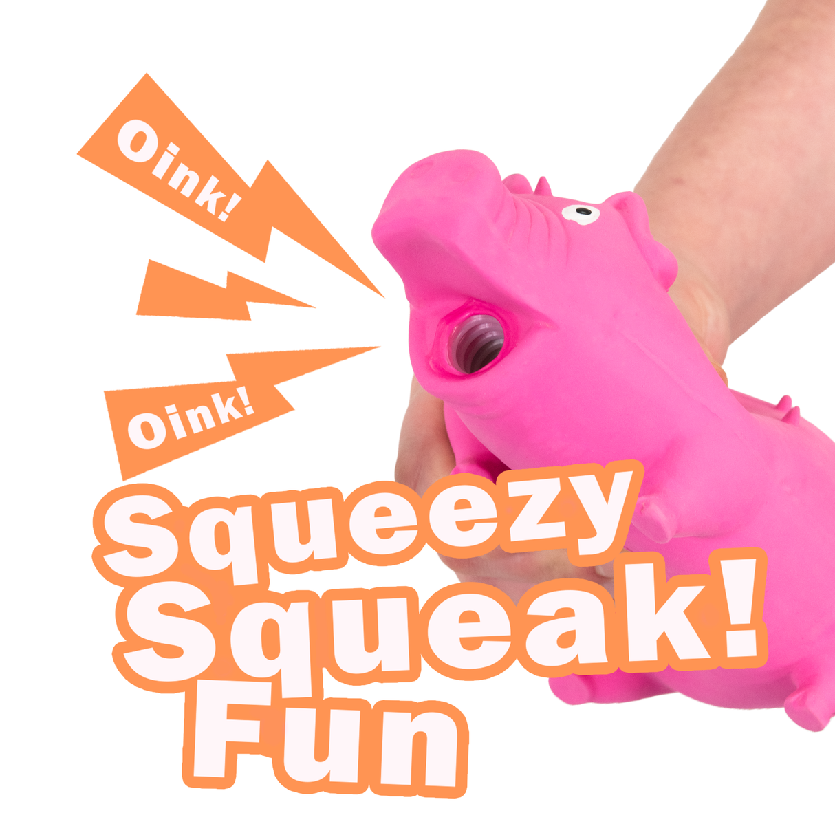 Pig Dog Toy with Noise