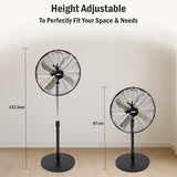 KÜHL 16" Electric Pedestal Fan | 3 Speed Settings | 80° Oscillation | Adjustable Standing Fan | Easy to Assemble | Home & Office