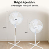 KÜHL 16" White Electric Pedestal Fan | 3 Speed Settings | 80° Oscillation | Adjustable Standing Fan | Easy to Assemble | For Home & Office