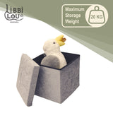 Foldable Footstool/Ottoman Storage Box