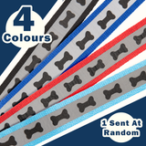 Reflective Dog Collar and Lead Set
