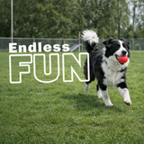 Heavy Duty Rubber Dog Ball Toy
