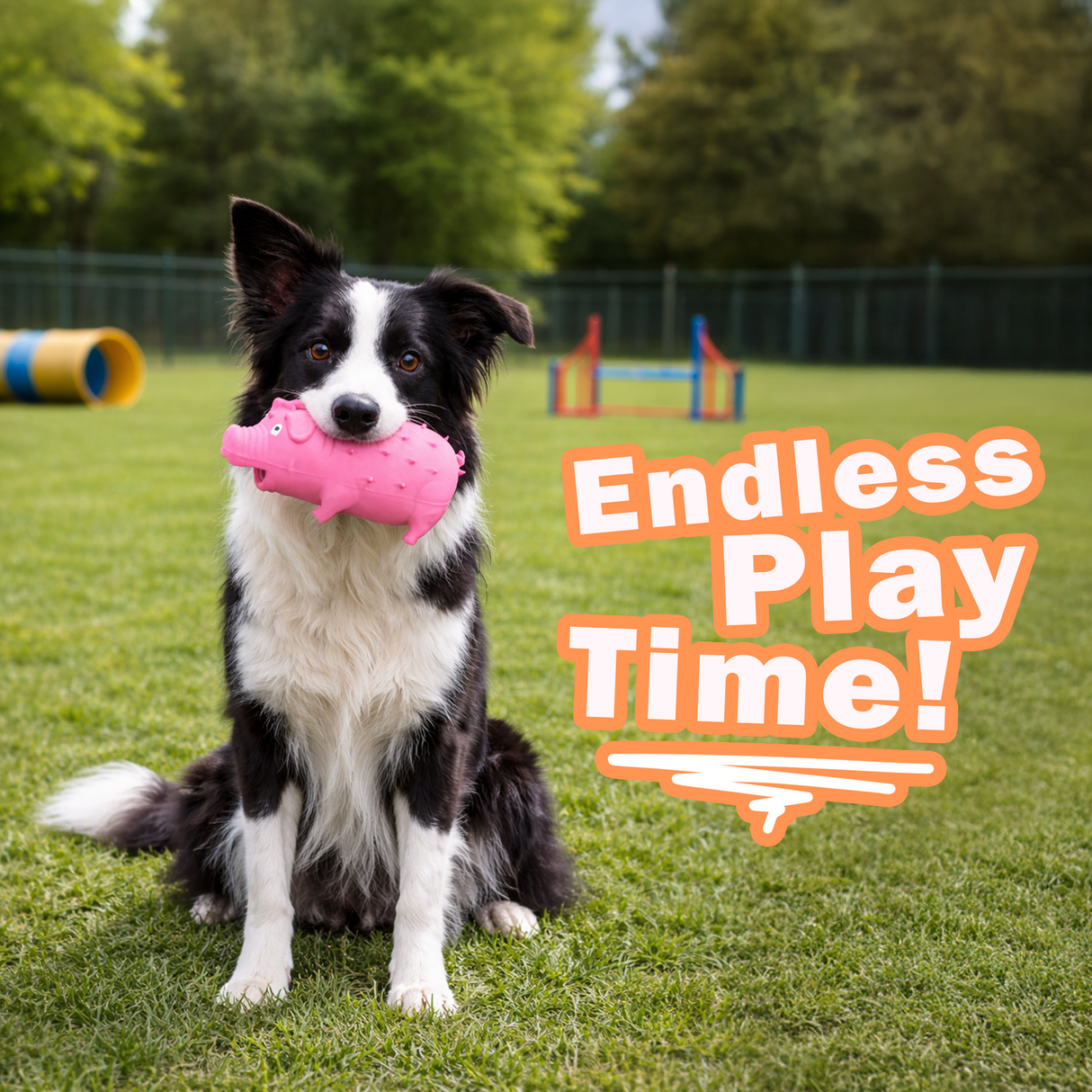 Pig Dog Toy with Noise