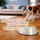 Stainless Steel Pet Bowl