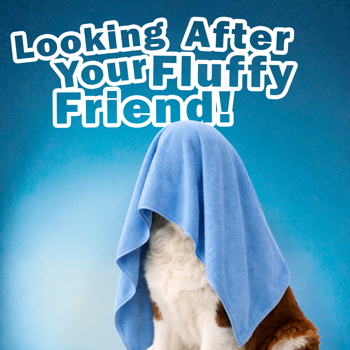 Microfibre Super Absorbent Pet Towel