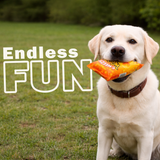 Crisp Bag Dog Toy