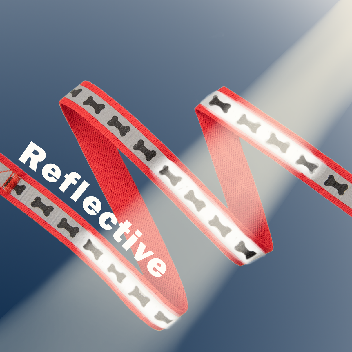 Reflective Dog Collar and Lead Set